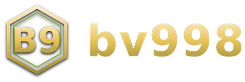 bv998 logo